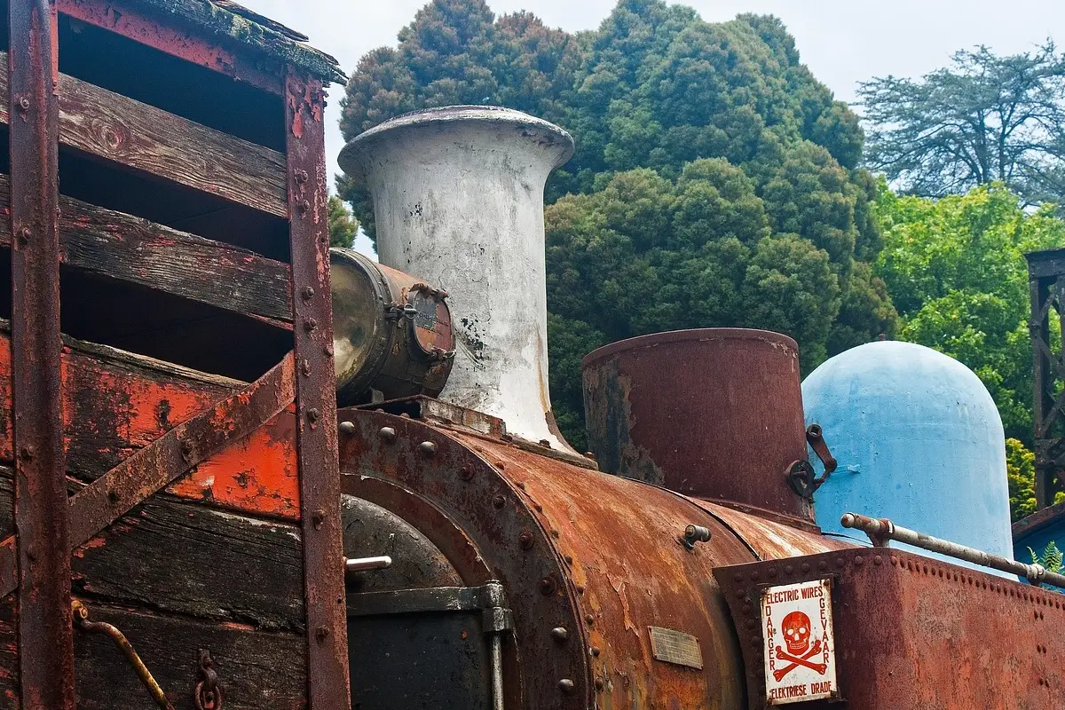Immagine selezionata